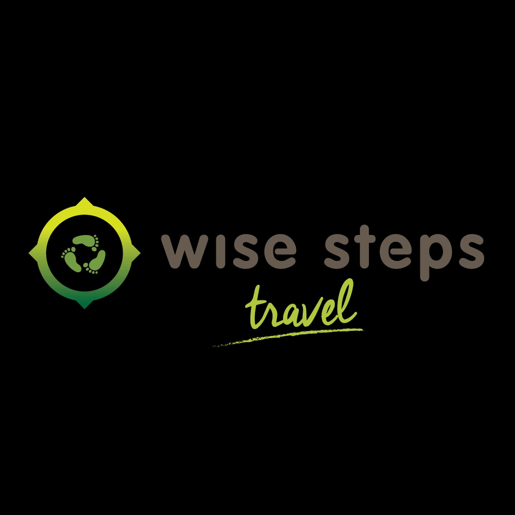 /assets/images/partners/wise-steps.webp