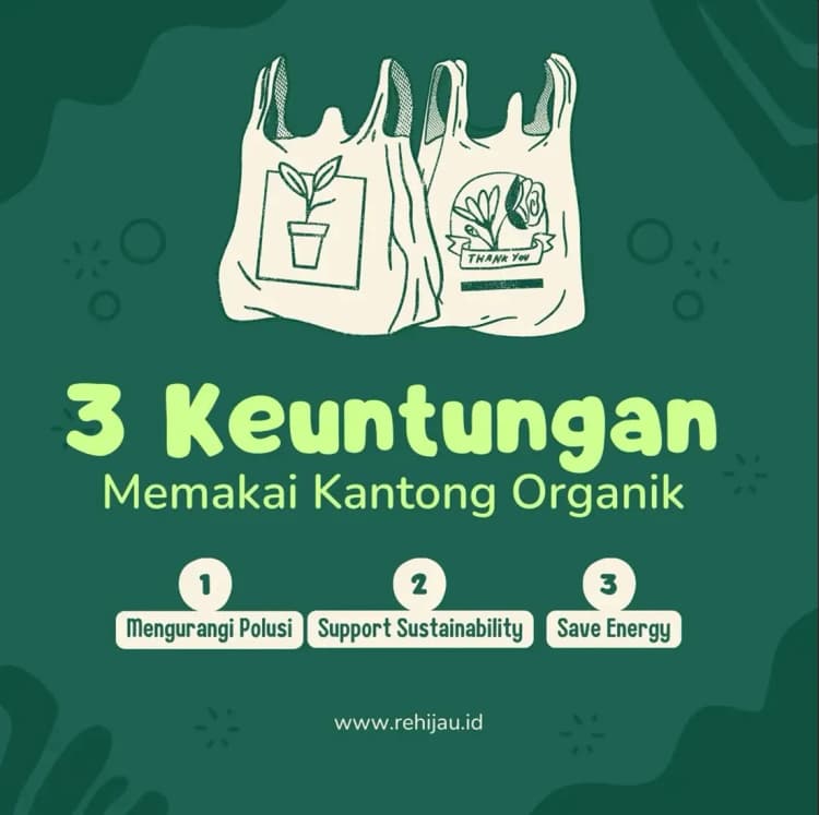 Rehijau's images